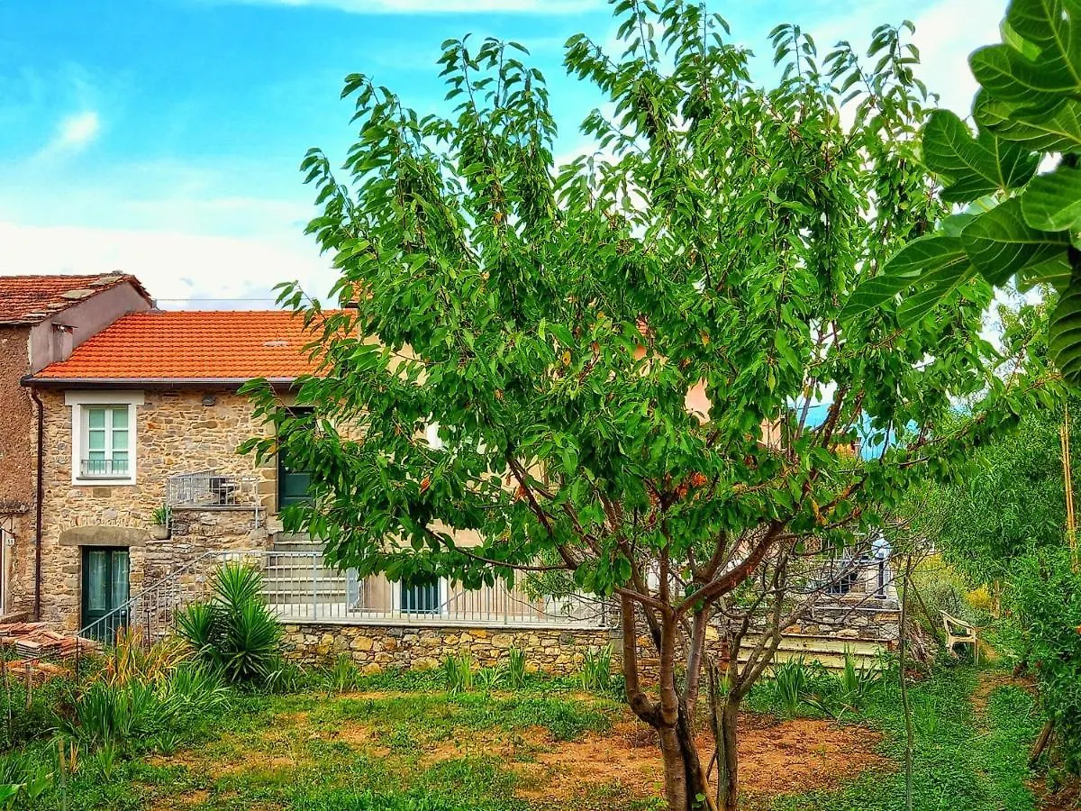 Country house Casa Natale Guest House Corvara