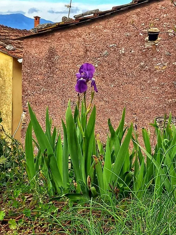 Country house Casa Natale Guest House Corvara